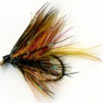 Sheelin – The Raymond Bumble