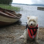 Sheelin – Wearing a life jacket or a flotation device on water is the law