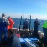 Sid Jones – Sea Fishing 3