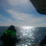 Sid Jones – Sea Fishing 4