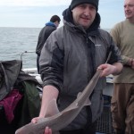 Smooth-Hound for Eric Salmon off Wicklow.