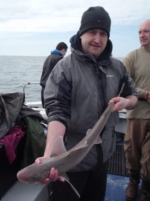 Smooth-Hound for Eric Salmon off Wicklow.