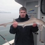 This Specimen Smooth-Hound on LISIN, Wicklow went to Christopher Boylan.