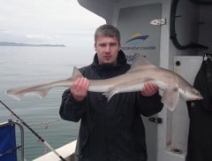 This Specimen Smooth-Hound on LISIN, Wicklow went to Christopher Boylan.