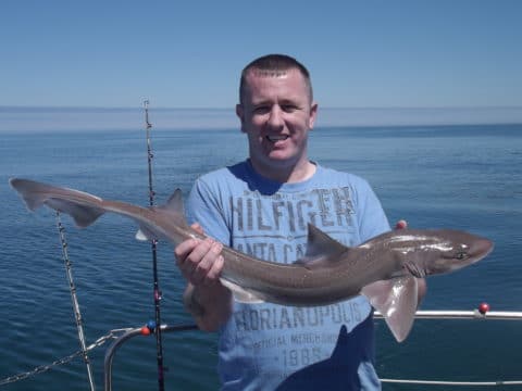 This fine male Hound weighed in at just under 7lb but fought like a 17lb fish.