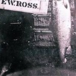 The 54.5 pound salmon caught in February 1913.