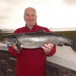 speciment sea trout