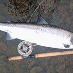 Kieran Conlon's 12¾ pounder