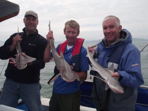 Deken Engman, Des Chew and Ronald Surgenor boated these 3 simultaneously, one specimen of 9lb in there.