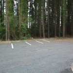 Wooded carpark