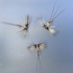 Lough Sheelin – Flies that proved successful on the lake this week
