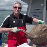 Niall Burke shows off his Thornback Ray of 14.6lb taken on Mackerel fillet.