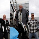 Rosguill – Mackeral June 2013