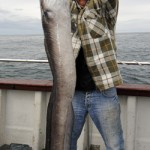 Rosguill – Sea fishing June 2013 5