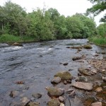 Water Has Dropped To 0.44 Metres On The Gauge. This height Of Water Suits The Normally Fast Stretch Between The Four Masters’ And Lennox’s Bridge