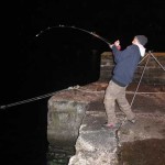 beara_conger_pier