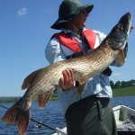 3 Pike 108cm 21lbs