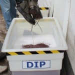 Bio Security