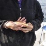 Boat Angling Ireland – 7