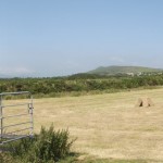 Make hay while the sun shines..