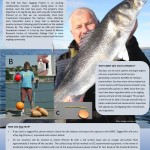Fish Track poster_DH_final-page-001