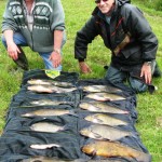 Chris and Bernard with some fine Bream and Tench from their catch.
