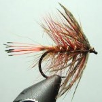 Lough Sheelin – The Fiery Brown
