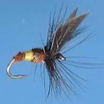 Lough Sheelin – The Welshman's Button