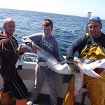 Sea Breeze Angling – Shark (1)