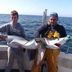 Sea Breeze Angling – shark (2)