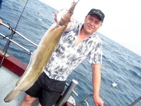 A Ling from Donegal bay