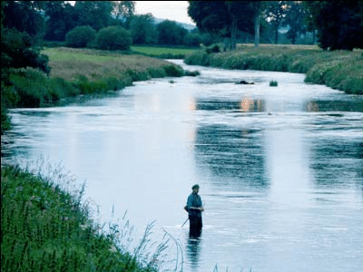 Slaney
