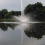 Templemore – Lake after clean up