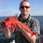 Ross finds a brightly coloured Gurnard