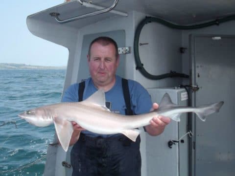 Ian Mulligan with his specimen Smooth Hound Ian Mulligan with his specimen Smooth Hound