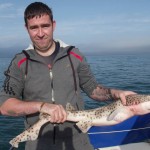 Wicklow Boat Charters – July 29th 2013 (2)