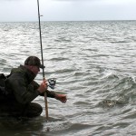 basshand