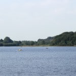 boats