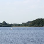 boats