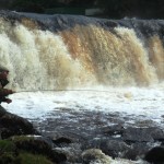 Fishing the falls