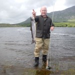 salmon
