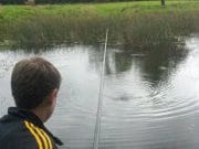 Coarse fishing in Mullingar area producing some nice tench Playing a tench on the pole
