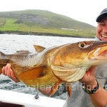 A red cod from the kelp