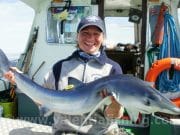 Sharks and more for anglers fishing on Valentia Island's Sioux Blue shark