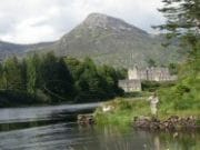A roundup from Ballynahinch for August