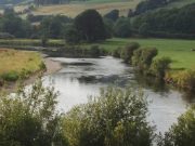 Fishing prospects looking good for next week on the Munster Blackwater