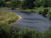 Played and lost on the Munster Blackwater