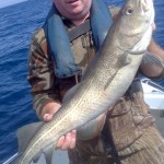 12lb cod