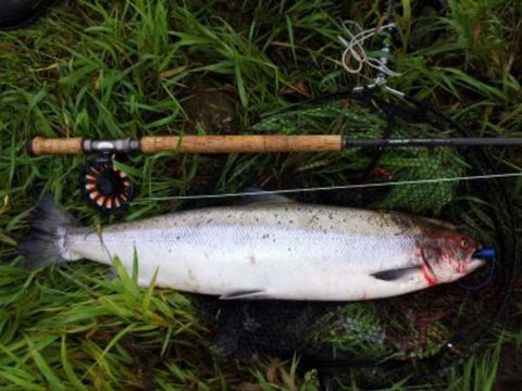 Clonanav - 17lb salmon caught by Tony O'Dwyer