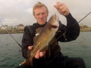 Wrasse, cod, pollack, plaice and poor cod for kayak anglers off the dublin coast cod